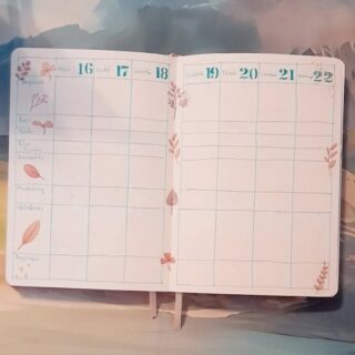 My weekly spread 16.06-22.06
#bujo #bulletjournal #weeklyspread